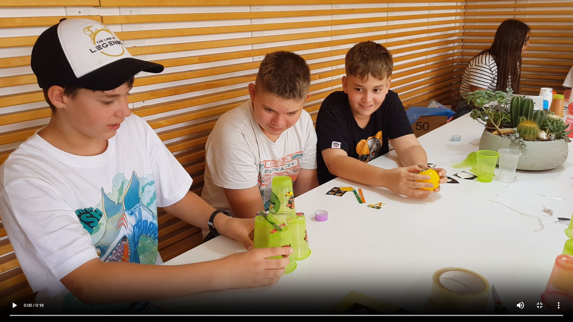 Video Thumbnail 1
