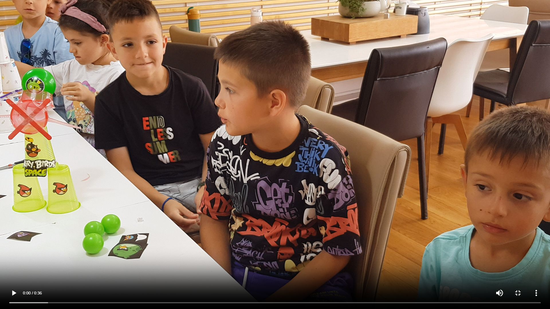 Video Thumbnail 2